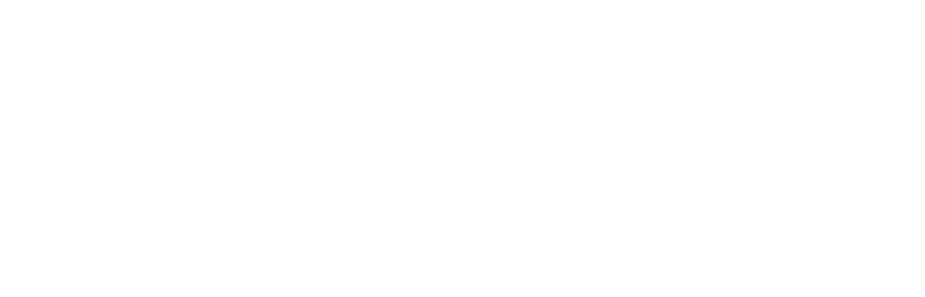 Visa, a trusted leader in digital payments logo